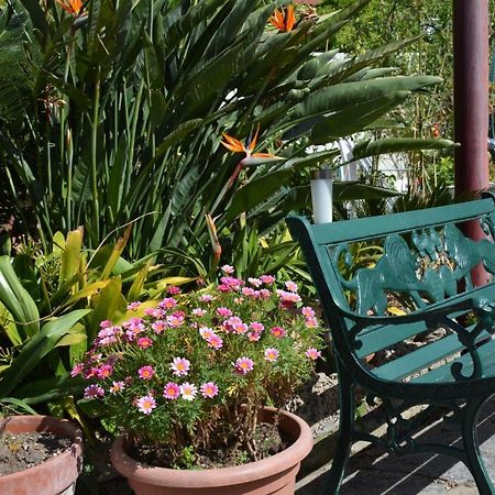 B&B Lodge Dell'Ospite Ischia Casamicciola Terme Zewnętrze zdjęcie