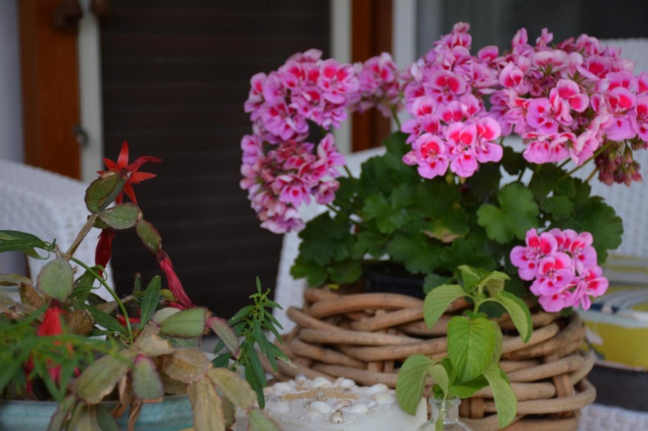 B&B Lodge Dell'Ospite Ischia Casamicciola Terme Zewnętrze zdjęcie