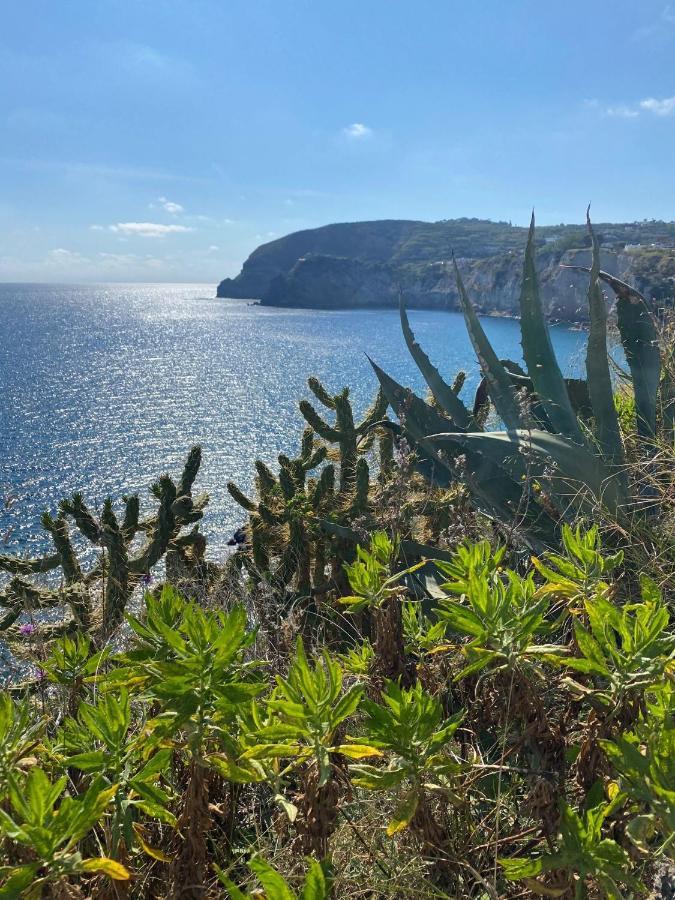 B&B Lodge Dell'Ospite Ischia Casamicciola Terme Zewnętrze zdjęcie