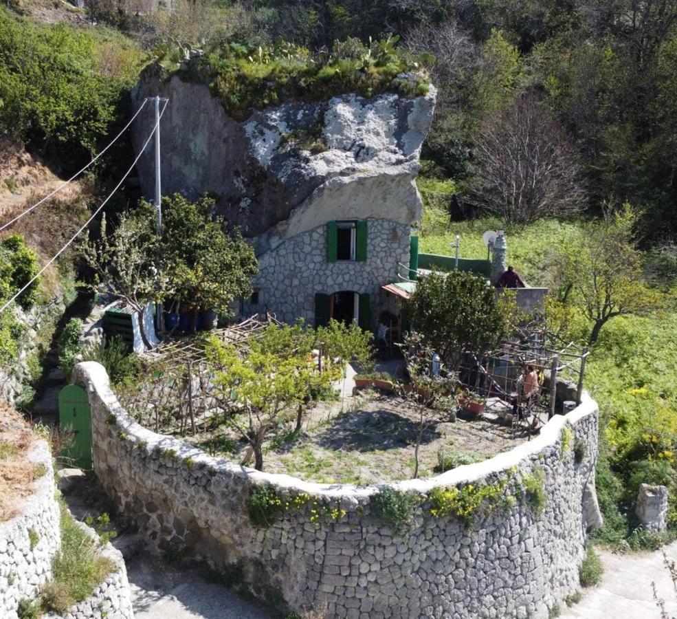 B&B Lodge Dell'Ospite Ischia Casamicciola Terme Zewnętrze zdjęcie