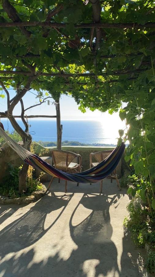 B&B Lodge Dell'Ospite Ischia Casamicciola Terme Zewnętrze zdjęcie