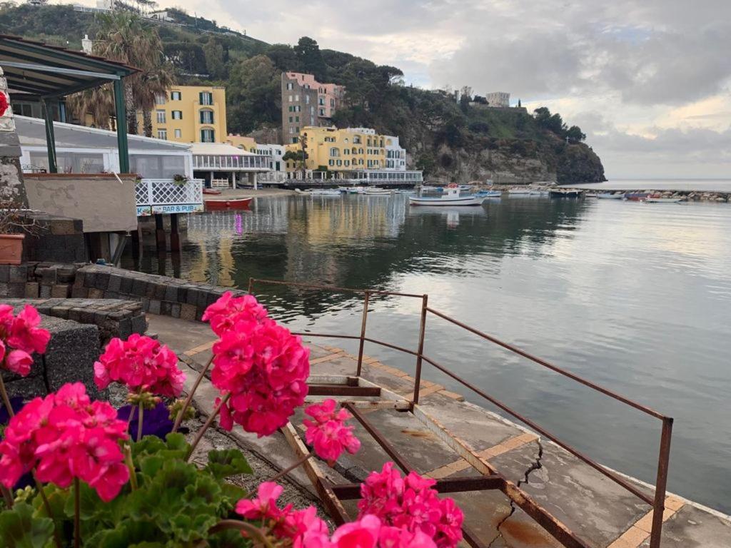 B&B Lodge Dell'Ospite Ischia Casamicciola Terme Zewnętrze zdjęcie