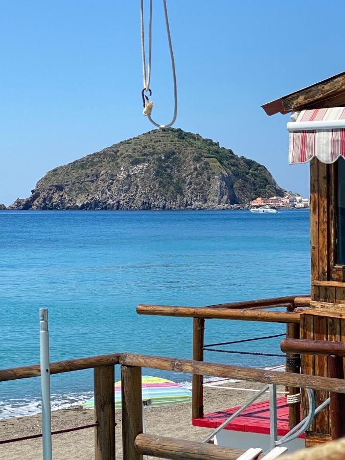 B&B Lodge Dell'Ospite Ischia Casamicciola Terme Zewnętrze zdjęcie