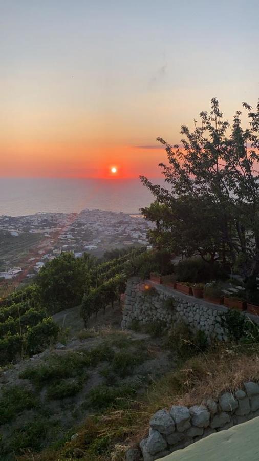 B&B Lodge Dell'Ospite Ischia Casamicciola Terme Zewnętrze zdjęcie