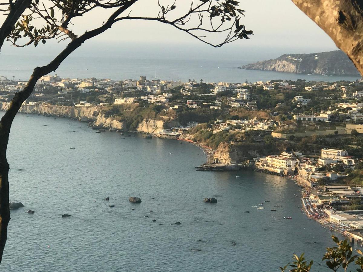 B&B Lodge Dell'Ospite Ischia Casamicciola Terme Zewnętrze zdjęcie