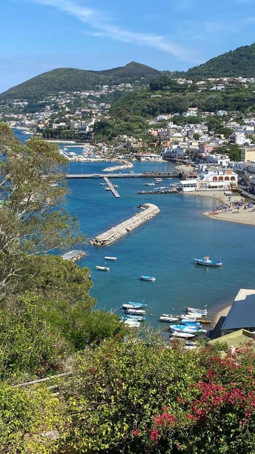 B&B Lodge Dell'Ospite Ischia Casamicciola Terme Zewnętrze zdjęcie