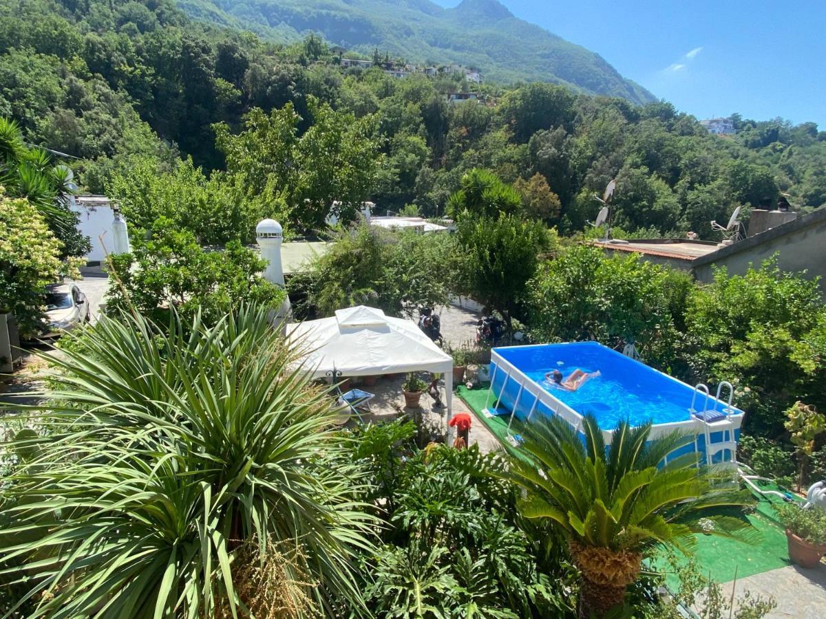 B&B Lodge Dell'Ospite Ischia Casamicciola Terme Zewnętrze zdjęcie